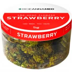 从大麻花中干燥的CBD大麻草莓